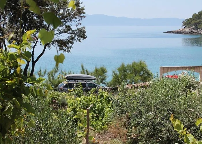Secluded Fisherman's Cove Smokvina, Hvar - 13608 *